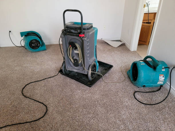 Best Carpet water damage restoration  in New Carlisle, IN