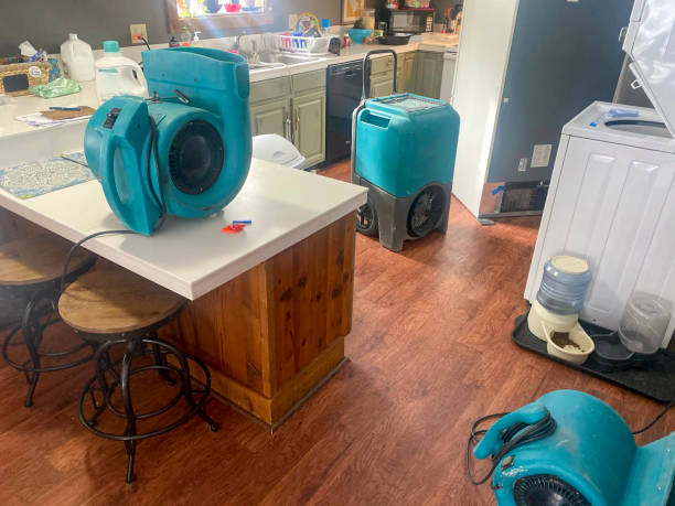 Reliable IN Water damage restoration Solutions