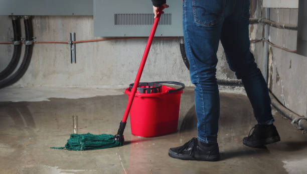Best Water damage restoration near me  in New Carlisle, IN