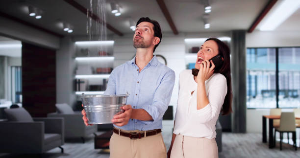 Best Water damage restoration near me  in New Carlisle, IN