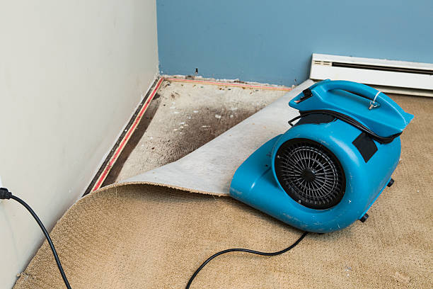  New Carlisle, IN Water damage restoration Pros