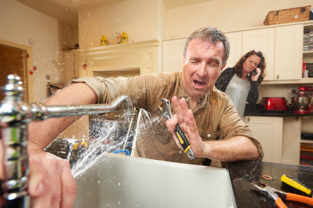 Best Flooded house restoration  in New Carlisle, IN